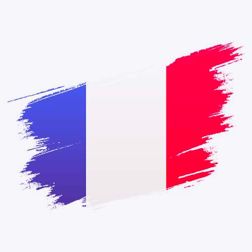 Visuel drapeau français peinture